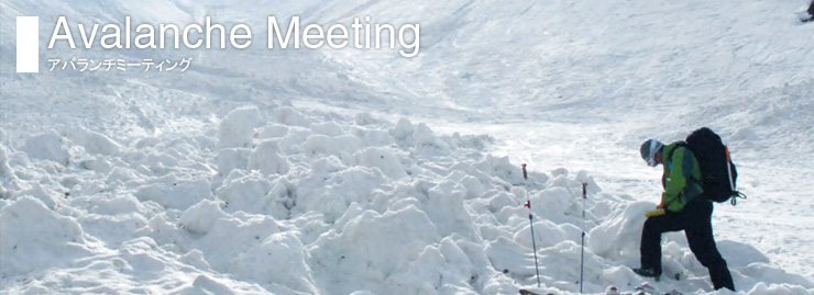 Avalanche Meeting